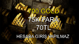 RDR2 ONLINE 700 GOLD + 75K PARA 70TL