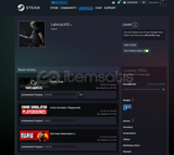 RE 2 KİŞİSEL STEAM HESABI