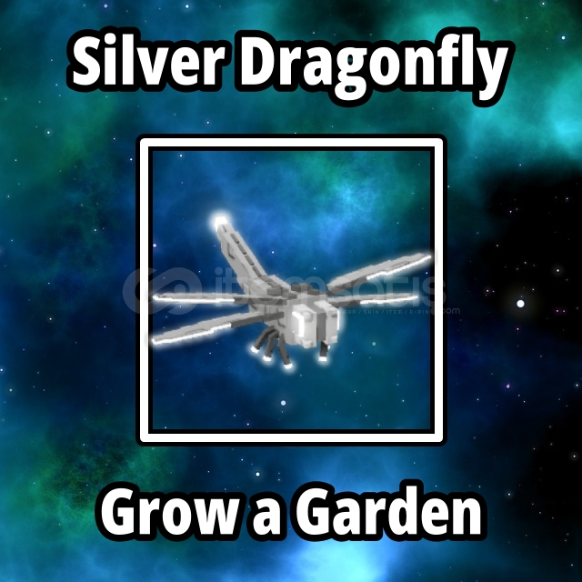 ⭐ Silver Dragonfly ⭐ Grow a garden ⭐ Silver Dragonfly ⭐ Grow a garden