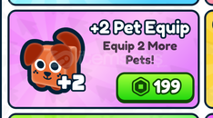 Rebirth Champions Ultimate : +2 Pet Equip