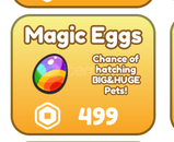 Reborn As Swordsman : Magic Eggs 