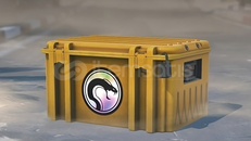 Recoil Case