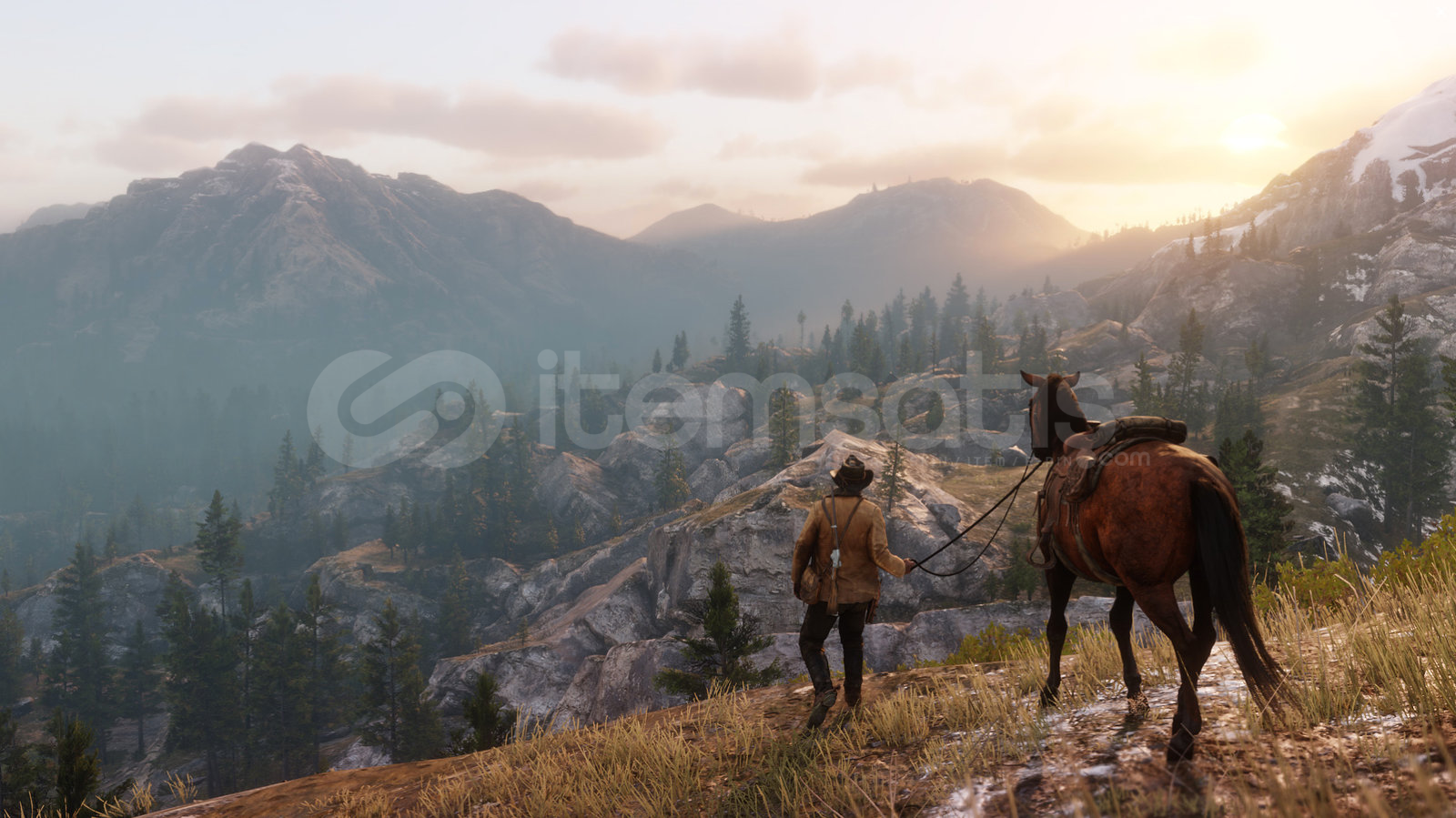 Red Dead Redemption 2 + Garanti  Red Dead Redemption 2 + Garanti