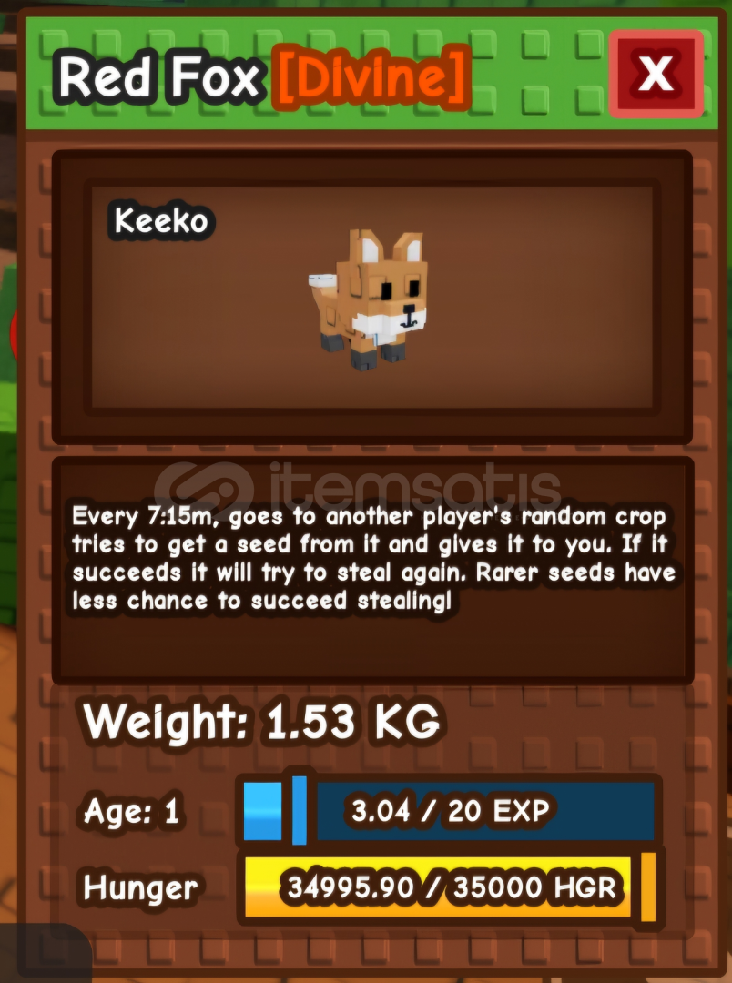 red fox red fox