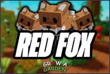 ✨RED FOX (PET) GROW A GARDEN