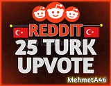 Reddit 25 Türk UpVote