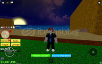 Resimdeki blox fruit hesapi 30tl