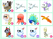 Resimdeki tüm petler Adopt Me (cok uygun)