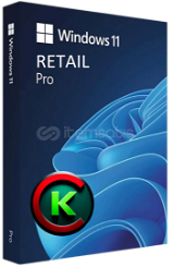 RETAIL | Windows 11 Pro Retail Lisans Anahtarı