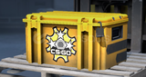 Revolver Case