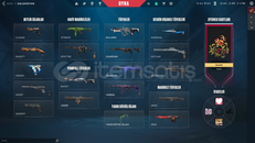 RGX KARAMBİT 2 VANDAL 33 SKİNLİ HESAP