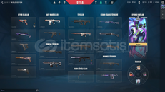 RGX KARAMBİT ANOMALİ VANDAL 14 SKİNLİ HESAP