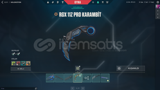 RGX KARAMBİT + DOPDOLU SKİNLİ HESAP