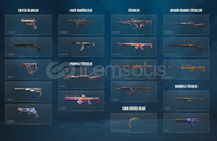 RGX KARAMBİTLİ 2 VANDAL PHANTOM GHOST MAIN HESAP