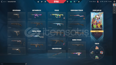 RGX KELEBEK 12 SKİNLİ HESAP