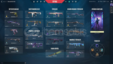RGX KELEBEK 2 VANDAL 51 SKİNLİ DOLU HESAP