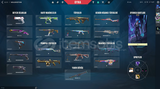 RGX kelebek İYON karambit toplamda 49 skinli