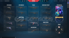 RGX VANDAL GAİA VANDAL 4 SKİNLİ HESAP