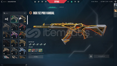 RGX VANDAL ÖH KELEBEK TR KURULUM MAİLLİ HESAP