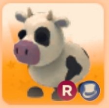 Ride Cow