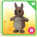 Ride Kangaroo (EN UCUZ) ADOPT ME