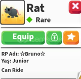 Ride rat