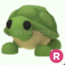 RİDE TURTLE RİDE TURTLE