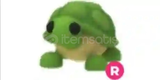 Ride Turtle Adopt Me