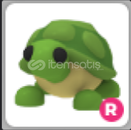 Ride turtle en ucuzu
