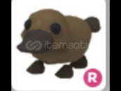 Ride platypus 5 value Ride platypus 5 value