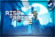 ☘️Risk Of Rain 2 Steam + Garanti☘️