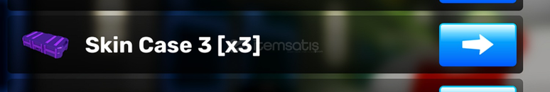 Rivals Skin Case 3 3x