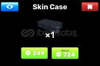 RIVALS 3X SKIN CASE