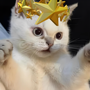 Roblox 1000 Visit Bot