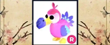 Roblox Adopt Me Dodo Ride Pet 