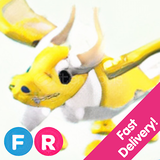  ROBLOX [ADOPT ME] FR ANCİENT DRAGON