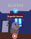 Roblox Adopt Me FR GRİFFİN