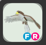 ROBLOX ADOPT ME | FR HAWK