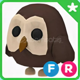 Roblox Adopt Me FR OWL