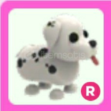 Roblox / Adopt Me ! /R Dalmatian