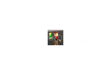 ROBLOX OHIO GOLD ROSE