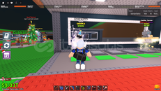 rocco disco limited pet