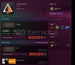 steam Rust 4700 hours 10 lvl steam