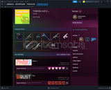 RUST +8000 saat +70 skin 10 lvl steam