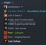 Rust + CS Prime + Battlefield Temiz Hesap