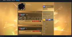 Rust CSGO PUBG +20K SAATLİ HESAP