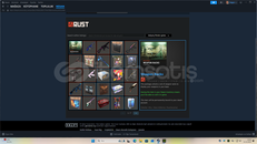 rust skinli hesap!160 tane ve dlc