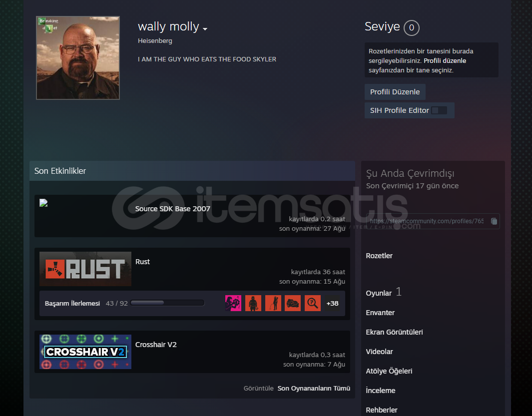 RUST TAM ERİŞİM HESAP SKİNLİ 36 SAATLİ  RUST TAM ERİŞİM HESAP SKİNLİ 36 SAATLİ