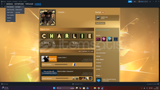 rustta 260 twich droplu csde seçkinli hesap