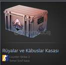 Rüyalar Kabuslar Kasası